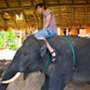 Meet your Posher, David